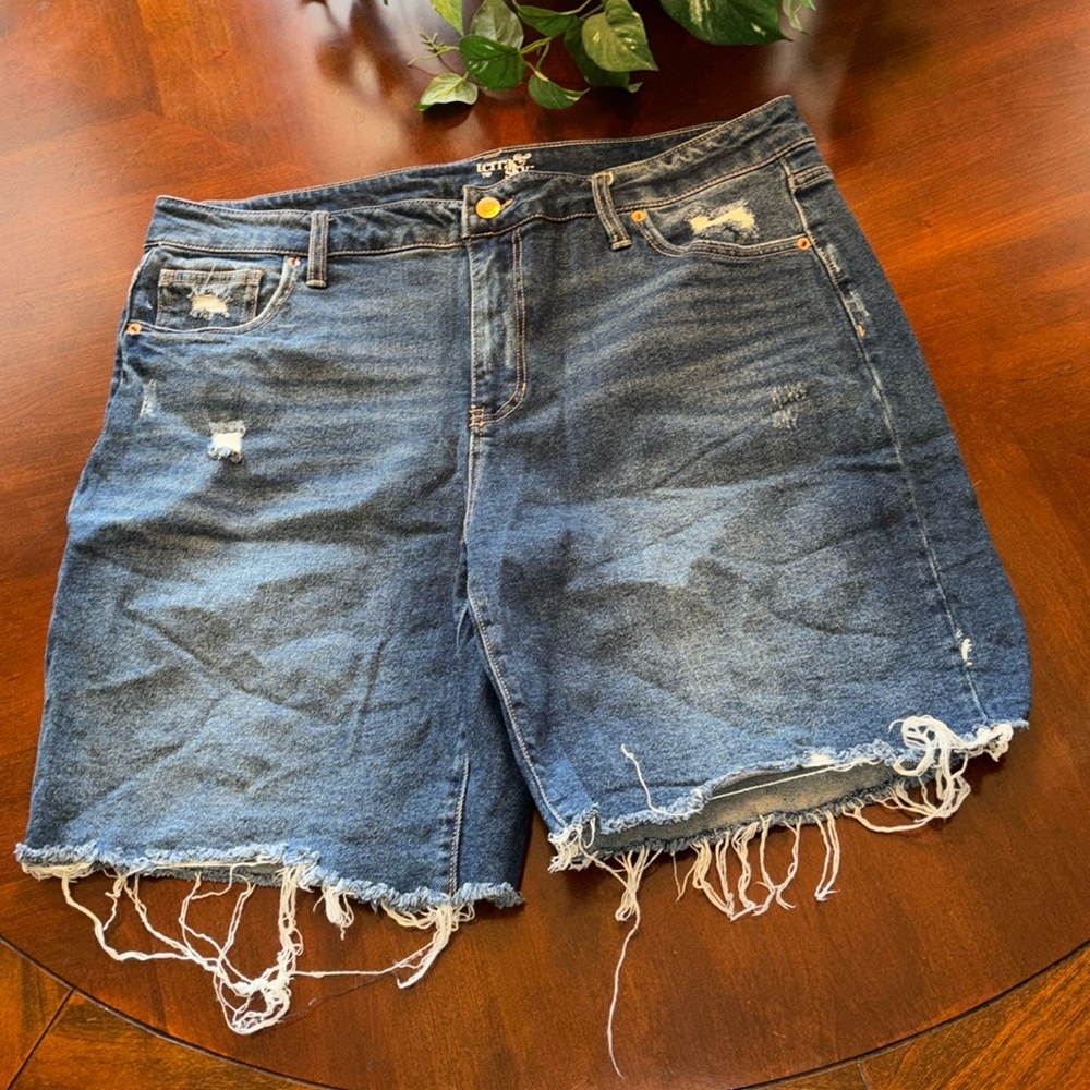 18W Jean shorts • terra & sky